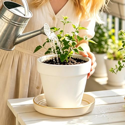 Plant Saucers, 2-Pack 6.5 Inch Ceramic Flower Pot Saucers, Thickened Plant Pot Saucers, Plant Trays to Catch Water for Indoors Outdoors Medium Potted Plants (White) - view 7