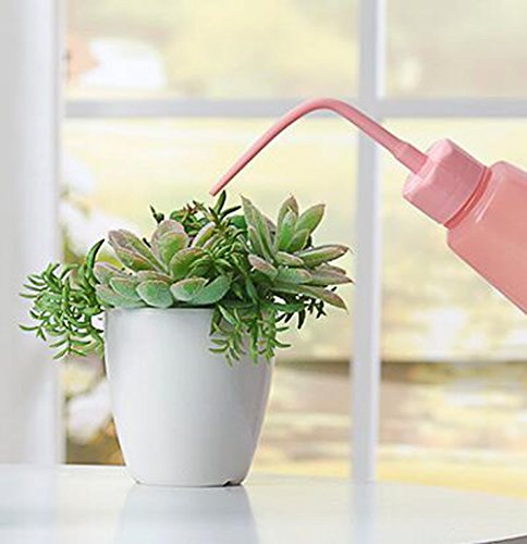 16oz Squeeze Type Dropping Kettle Wash Bottle with Silicone Hose - Translucent Medical Label Tattoo Safety Squeeze Bottle Lab Tip Liquid Storage and Micro Landscape Watering Tools Supply (Pink) - view 4