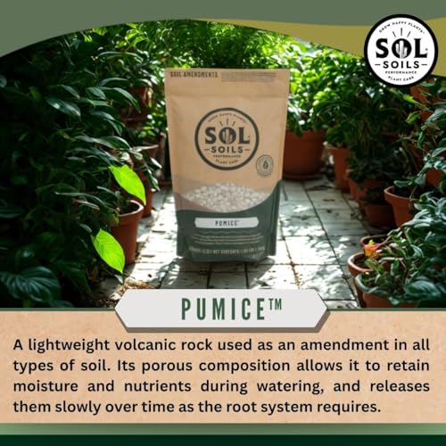 Horticultural Pumice - Lightweight, All-Natural Volcanic Rock Soil Amendment to Improve Drainage, Aeration & Maintain Moisture Balance – Filtered 3/8" to 1/4" - 1 Quart - view 3