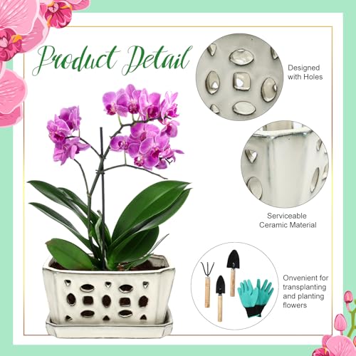 9.5" Orchid Pot Ceramic with Hole Saucer for Repotting, White - view 3