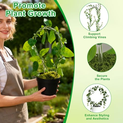 6 Pack Plant Trellis for Hoya Pothos, 3 U-Shaped & 3 Round Indoor Plant Trellis, Rustproof Acrylic Climbing Plant Support for Vines Flowers Potted Plants - view 3