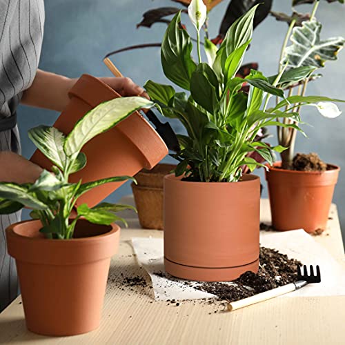 Terracotta Plant Pot with Saucer, 6 Inch, 40-X-A-3 - view 2