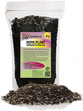 Premium Potting Mix for Hoya Plants - Promote Strong Root Systems and Optimum Nutrient Uptake - 3 Quart