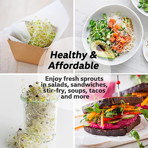 Complete Sprouting Jar Kit| 2 Wide Mouth Mason Jars, 316 Screen Sprout Lids, Blackout Sleeves, Tray, Stand| Sprouter Set for Growing Broccoli, Alfalfa and More-Seeds not Included - view 7