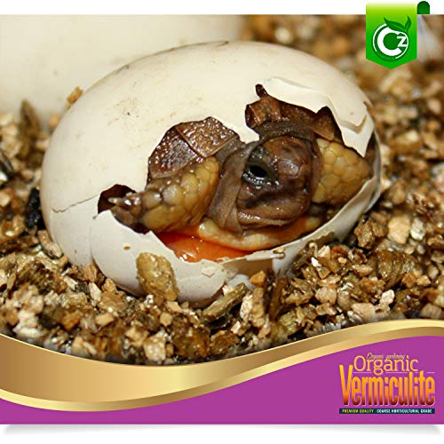 Coarse Vermiculite - Made in USA for All Indoor/Outdoor Plants & Flower Gardens - Horticultural Soil Amendment Additive Conditioner Grow Media for Hydroponics, Mushroom Cultivation and more! - view 3