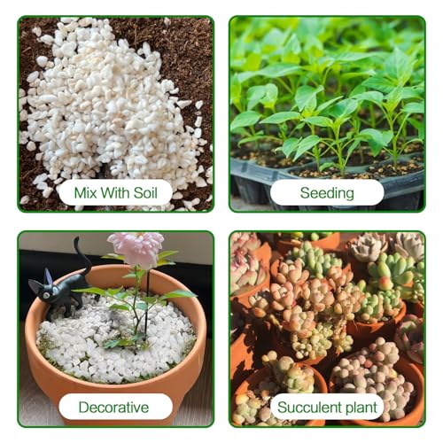 Perlite for Plants 4 Quarts, Horticultural Perlite Soil for Plants Potting Mix, Amendment for Plants Indoor&Outdoor, Enhanced Water Drainage and Ventilation, Promote Root Growth (3-6mm) - view 3