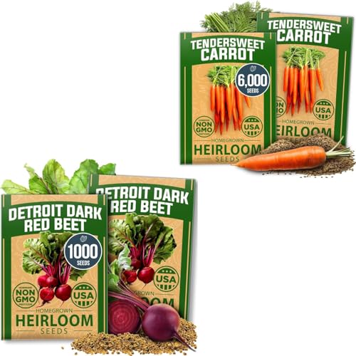 Carrot & Beet Seeds Bundle – 6000 Tendersweet Carrot + 1000 Detroit Dark Red Beet Seeds – 2 Pack Each – Non-GMO, Heirloom Vegetable Seeds for Outdoor Planting, High Germination