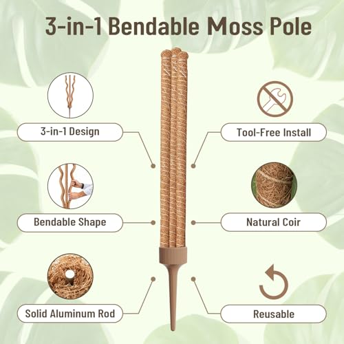 3-in-1 Moss Pole, Bendable 30IN Monstera Plant Support for Indoor-2 Pack - view 3