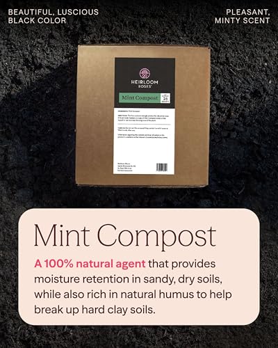 Mint Compost,100% Natural,Top Soil Amendment for Rose Planting, Rich in Micronutrients and Nitrogen for Garden Vegetables and Flowers, 26 Quart Box - view 2