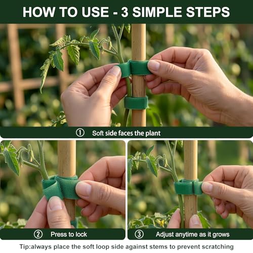 Plant Tape – Reusable Hook and Loop Plant Ties for Climbing Plants, Adjustable Garden Tape for Tomatoes, Vines & Indoor Plants | Nylon, 0.47 in Wide | 2 Rolls, 98ft - view 5