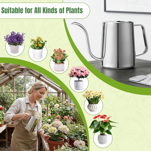 Plant Watering Can, 304 Stainless Steel Watering Can Indoor, 34 oz - view 6