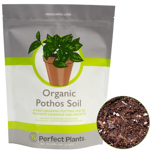 Organic Pothos Soil, 4 qt, Indoor Coco Coir Mix