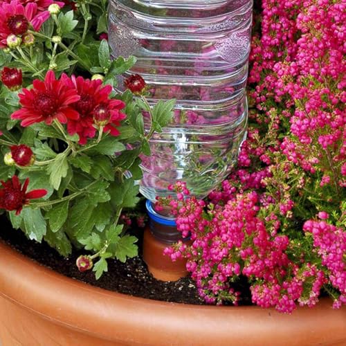 Plant Watering Device - Easy XL Self Watering Planter Insert for Indoor Plants - Bottle Adapter - Prevents Overwatering and Underwatering for Healthy Growth - 6 Pack - view 6