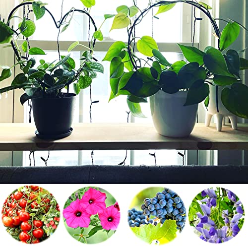 2 Pack Garden Trellis for Climbing Plants, 13 inches Rust-Proof Iron Metal Plant Support with Black Rust Proof Coating for Decorative Potted Climbing Vines and Flowers (Round & Heart) A1016 - view 7