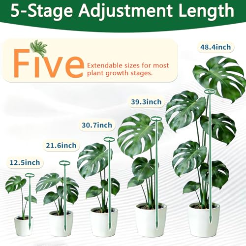 Telescoping Monstera Plant Stakes, 12.5-48.4IN Indoor Plant Support- 3Pack - view 4