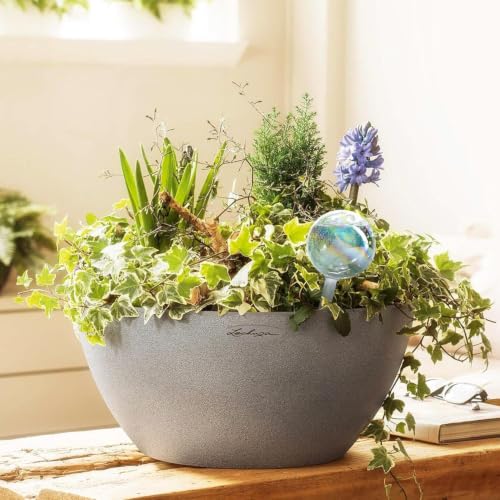 Clear Plant Watering Globes Set of 2, Large - Glass Self Watering Globes - view 2