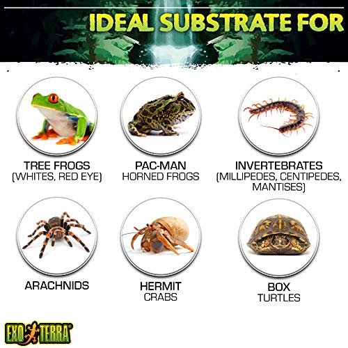 Plantation Soil, 8 Qt (8.8 L) - 100% Natural Terrarium Substrate | Increases Humidity, Stimulates Digging & Burrowing | Ideal for Natural Terrarium Setups & Live Plants (Pack of 4) - view 6