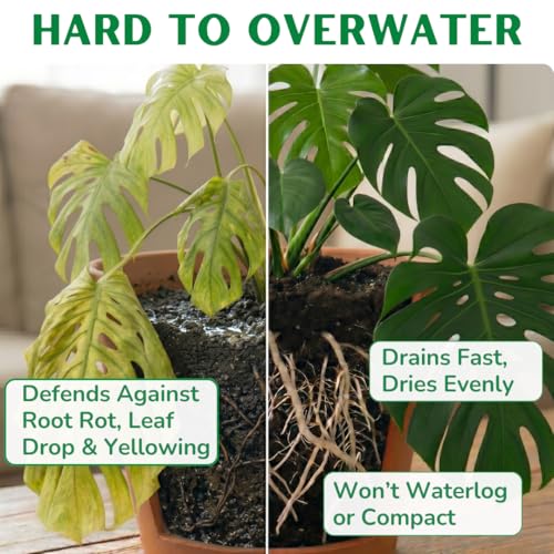 Organic Monstera Potting Soil, Quick-Draining Aroid Mix, Large 7.5L Bag - view 4