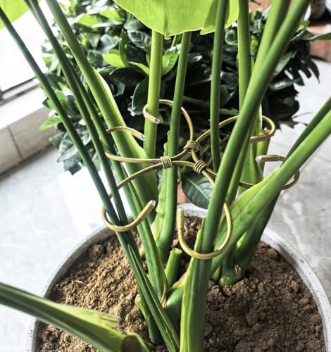 2 Pcs Gold Iron Monstera Support, Plant Support Stakes for Indoor Plants - view 2