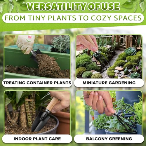3 Pcs Mini Garden Tools, Shovel, Rake, Wooden Handles, Steel Heads - view 4