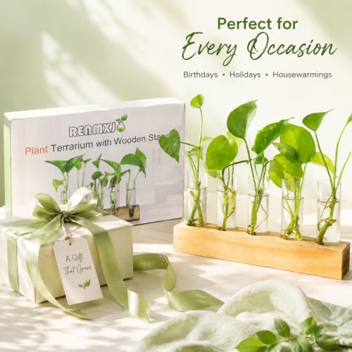 Plant Propagation Station, Plant Terrarium with Wooden Stand - view 6