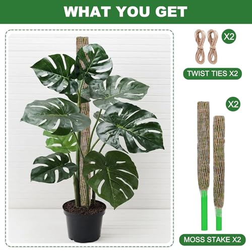 Moss Pole for Plants 2 Pcs 13+16 Inch Modern Mesh Design Green Moss and Plastic Plant Support Extension - view 6