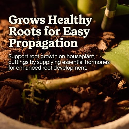 Plant Care Root Starter Gel (2-Pack) - view 3