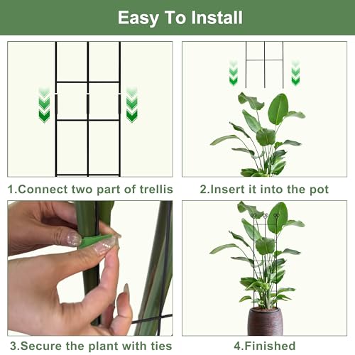 32in Monstera Plant Support Trellis for Indoor Plants, 4P - view 5