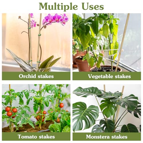 Plant Stakes 18inch, 20Pcs Natural Bamboo Sticks Garden Stakes - view 5