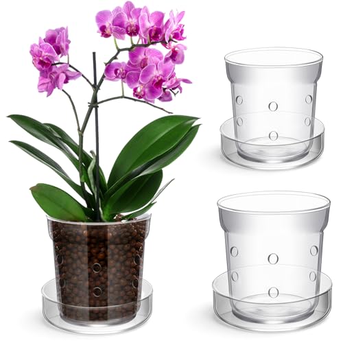 2 Pcs Orchid Pot with Drainage Holes and Tray Transparent Glass Pot Planter for Orchids Flower Repotting Anti Slip Glass Plant Vase for Indoor Outdoor Home Decor (4 Inch + 6 Inch)