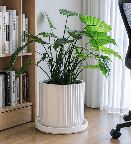 Ceramic Plant Saucer/Drainage Tray, 11.8 in, White, 97-T-A-6 - view 2