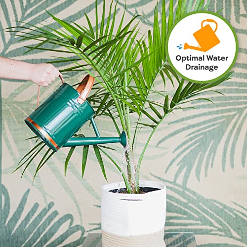 Indoor Plant Soil, 8 qt, Coco Coir Potting Mix - view 5