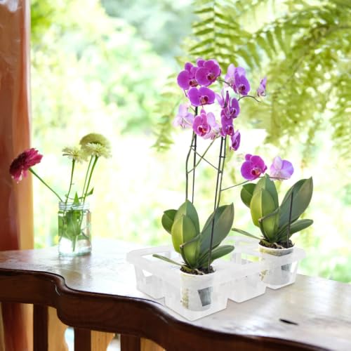 2pcs Grid Plastic Orchid Pot Tray Rack with Holes for Plant Root Care - view 6