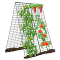 Foldable Cucumber Trellis, Heavy Duty Steel Plant Support Frame (2pack)