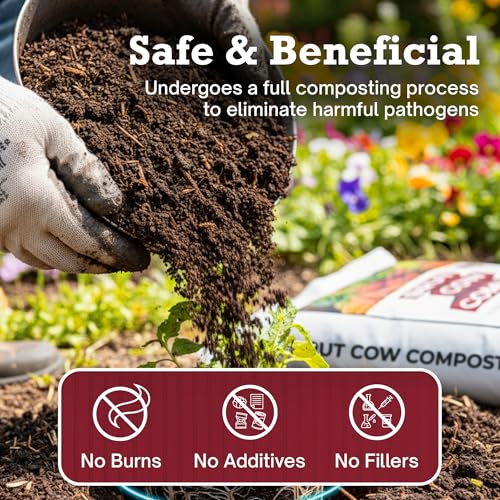 Brut Cow Compost – Nutrient-Rich Composted Cow Manure Organic Soil Amendment – 100% Pure Compost, Additive-Free Fertilizer for Vegetable Gardens, Flowers, Lawns & Indoor Plants – 10 Quart - view 3