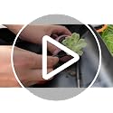 Bonsai Tools Set, 30 Pcs Gardening Succulent Tree Indoor Beginner Tool Kit, Include Plant Repotting Mat, Leather Bag, Bonsai Scissors for Women, Plant Lovers - view 7