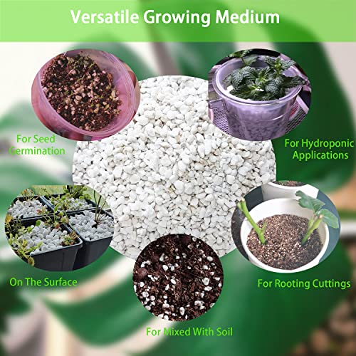 Natural Organic Perlite 5QT for Plants Potting Mix Indoor Outdoor Garden Soil Amendment for Enhanced Drainage, Seed Starter, Root Growth for Succulents, Cactus, Orchids, Money Trees, Vegetables - view 6