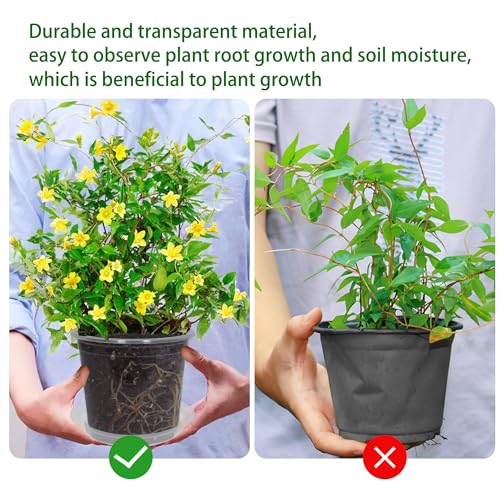 20 Pack 3 Inch Clear Nursery Pots with Drainage and 20 Pack Plant Saucers, Plant Pots for Plants Transparent Potting Containers for Plants Seeding Starter Pot (Clear, 3 Inch) - view 5