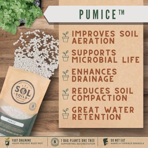 Horticultural Pumice - Lightweight, All-Natural Volcanic Rock Soil Amendment to Improve Drainage, Aeration & Maintain Moisture Balance – Filtered 3/8" to 1/4" - 1 Quart - view 4