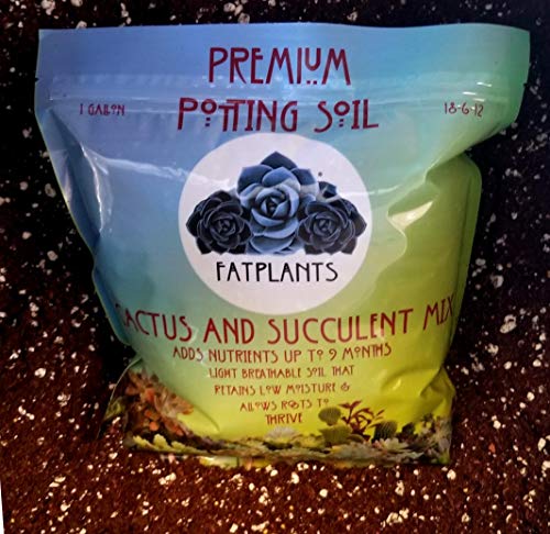 Premium Cacti and Succulent Potting Mix Soil - for Cactus Palm Tree Citrus Plant Grown in Gardening Containers - Indoors & Outdoors Use - with Natural Food/Fertilizer - view 2