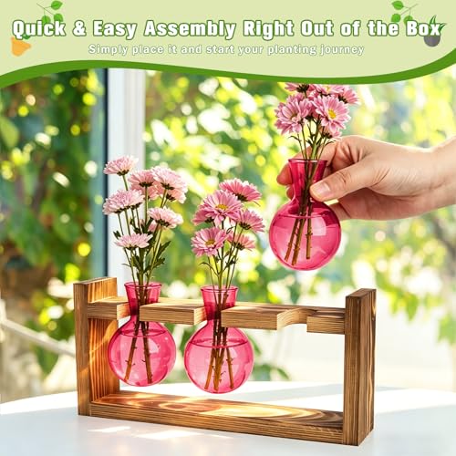 Plant Terrarium Jar Propagation Station Stand 3 Pink Bulb Vases - view 6