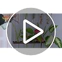 Wall Hanging Propagation Station with Wooden Stand 5 Glass Test Tubes 3 Tiered Planters Wall Terrarium for Home Office Plant Hanger Flower Vases Wall Decor Hydroponic Cuttings - view 7