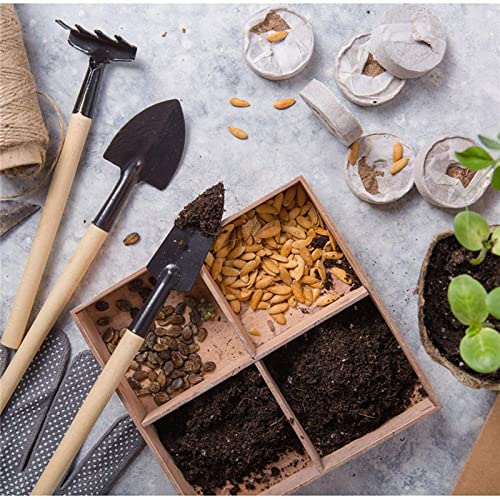 RoseFlower12 Pcs Mini Gardening Tools Set, Plants Care Tools Kit, Bonsai Mini Hand Transplanting Succulent Tools, Indoor Terrarium Tool Accessories, Garden Plant Care Tool Kit, Gardening Accessories - view 4