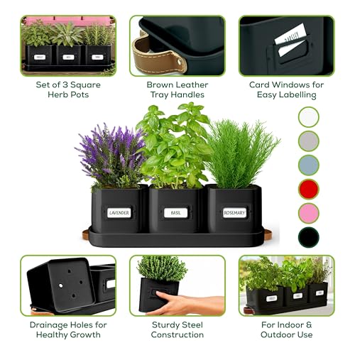 Herb Planter Indoor - Set of 3 Black Indoor Herb Garden Pots for Plants with Leather Handled Tray - Window Sill Plant Shelf - Herb Pots with Drainage Holes and Labels - view 3