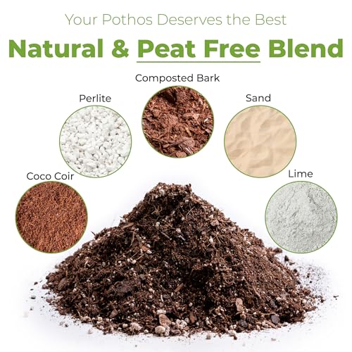 Organic Pothos Soil, 8 qt, Indoor Coco Coir Mix - view 2