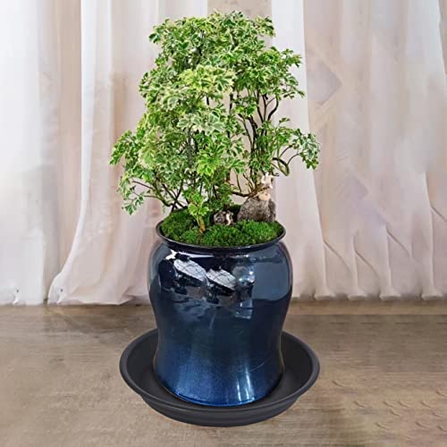 2 Pack Plant Saucer Drip Tray 11 12 inch, Pot Base for Plants Indoor, Plastic Flower Planter Saucers and Drip Trays for Outdoors, Heavy Durable Plant Plate Water Catcher (12", Black) - view 7