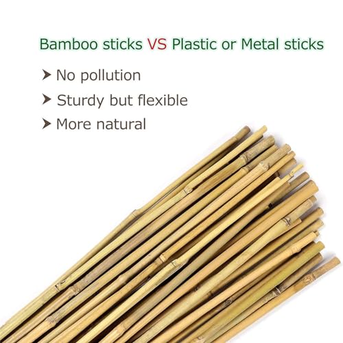 Bamboo Stakes for Plants, 20 Pack Plants Stakes 5 Feet(58in) - view 4