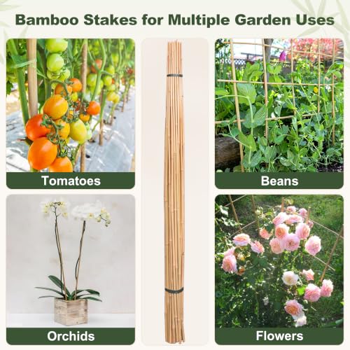 Natural Bamboo Poles, 4 Feet Bamboo Sticks for Plants, Wood Garden Stakes for Tomato, Bean, Flowers, Trees Potted and Climbing Plants, 25 Pack - view 7
