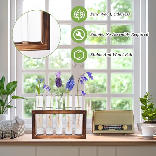 2pcs Desktop Glass Plant Propagation Station (10 Tubes) - view 3