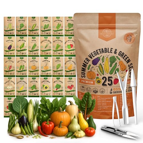 30 Most Popular Winter Vegetable Garden Seeds Variety Pack- Outdoors/Indoor 33,200+ Non-GMO Heirloom Veggie Seeds Broccoli Beet Carrot Cabbage Chives Lettuce Radish Pea Spinach & More - view 4